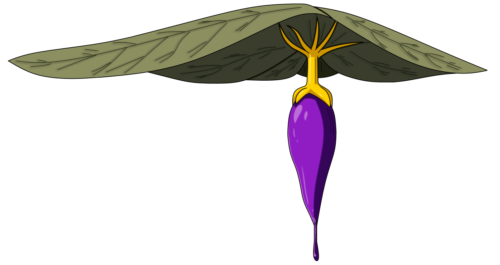 Preeze Plant